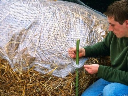 nơi trú ẩn cho mùa đông