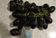 Грозде Хаджи Мурат