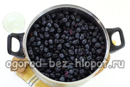 грозде в тиган