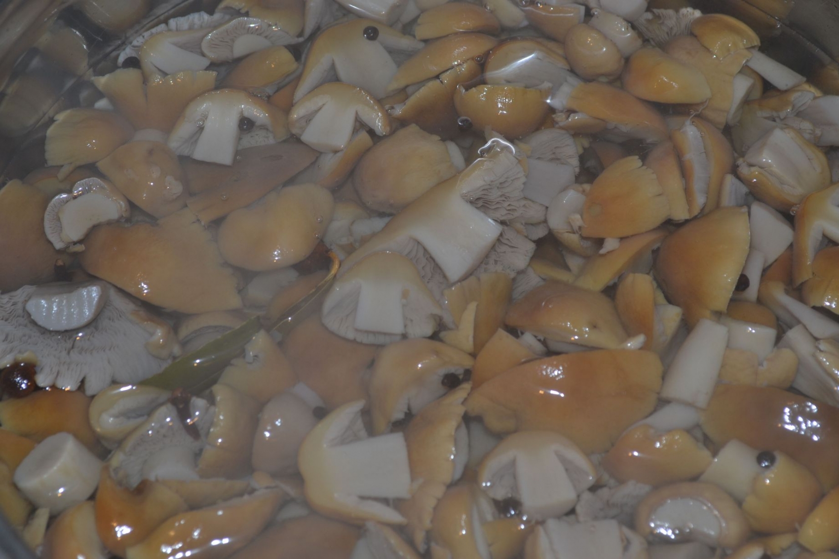 Мариновани блата