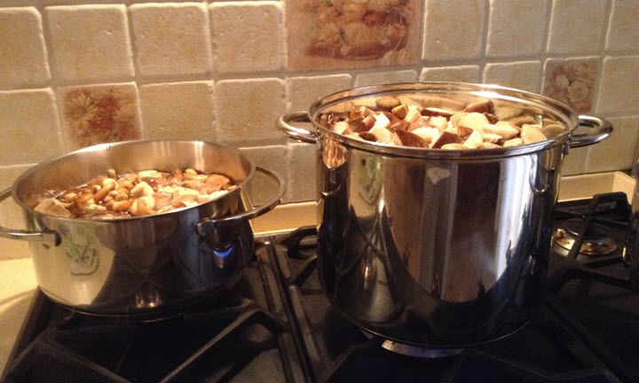 Koken voor het invriezen