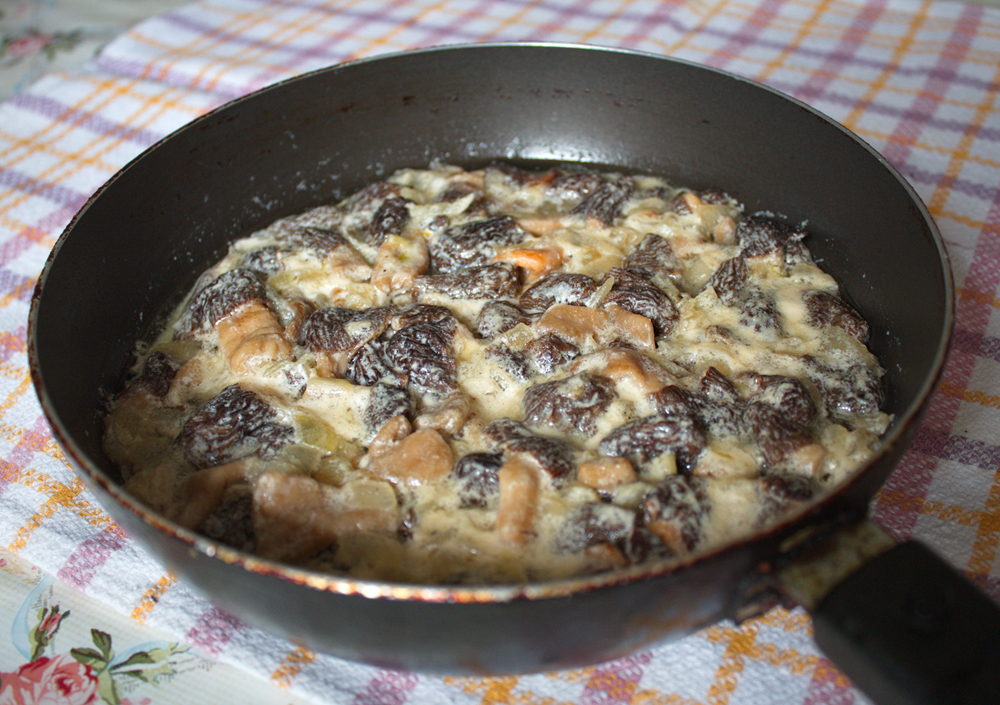 Morels chiên trong kem chua với hành tây