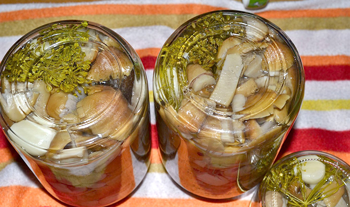 Мариновани гатанки