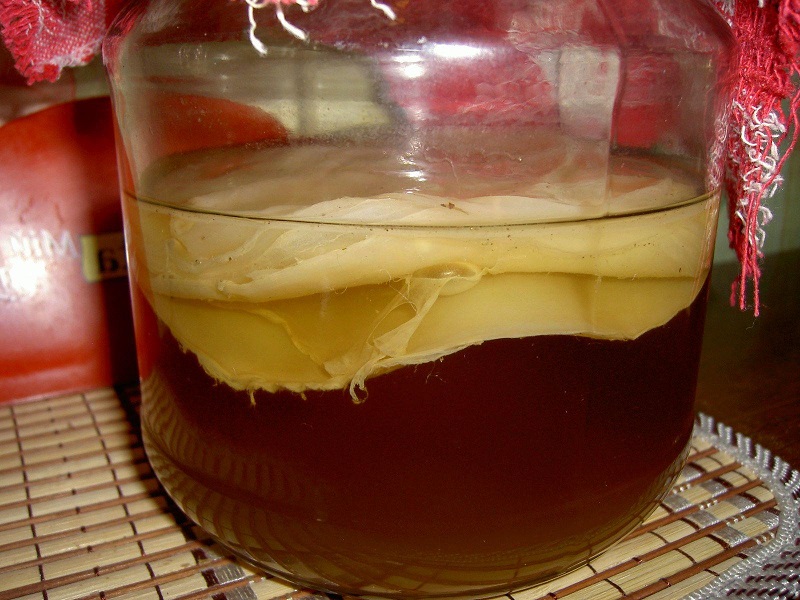 Kombucha