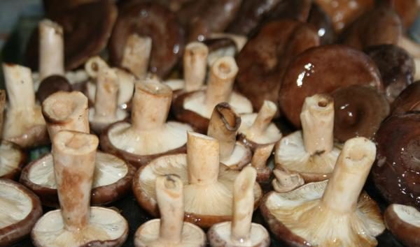 Осоляване на редове