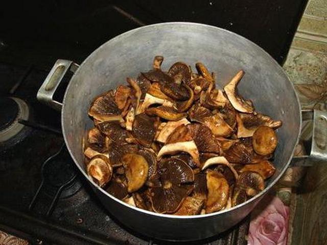 Приготвяне на готвене