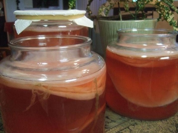 Kombucha