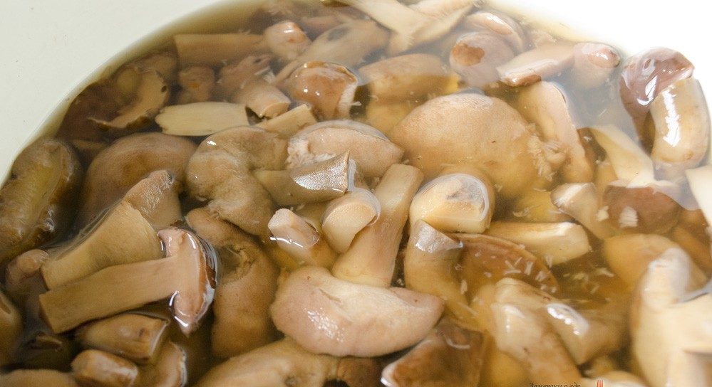 Накисване на полски гъби