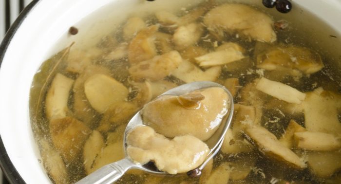 Мариновани полски гъби