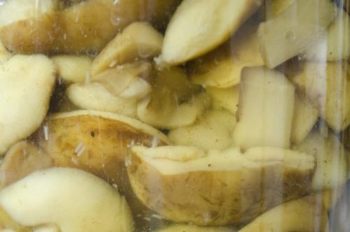 Ingelegde Poolse Paddestoel