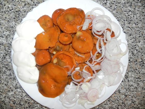 Imbierą su svogūnais