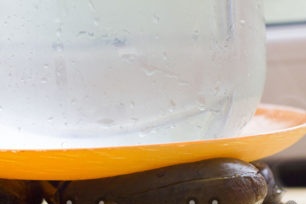 поставете патладжана под пресата