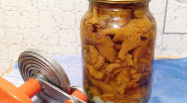 Солени гъби