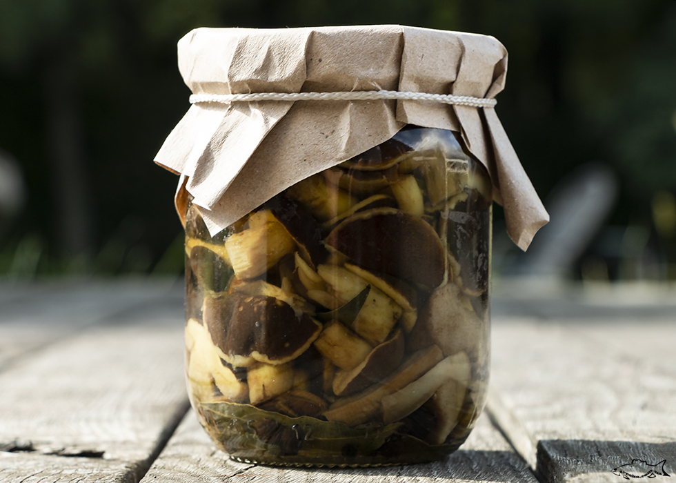 Солени гъби