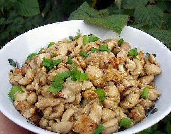 Ovengebakken regenjassen