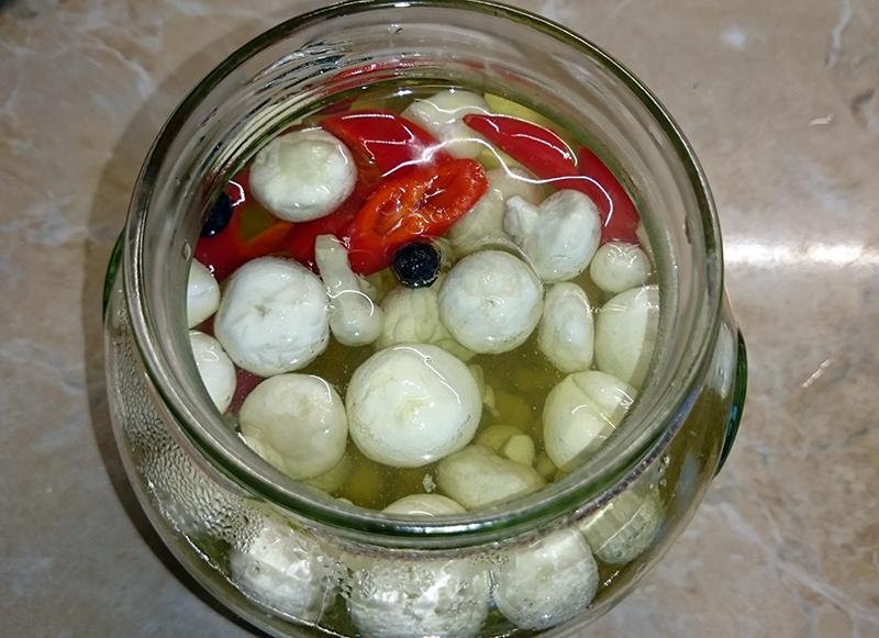 Regenjassen ingelegd