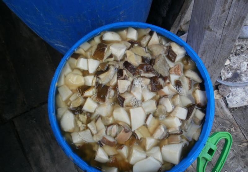 Eilučių apdorojimas