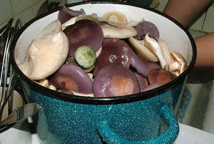 подготовка