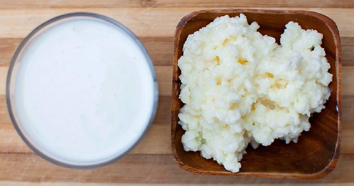 Млечна гъба