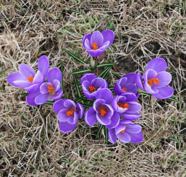 модел за кацане