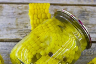 ngô đã sẵn sàng