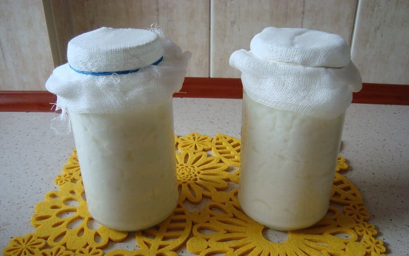 Milk mushroom in a jar