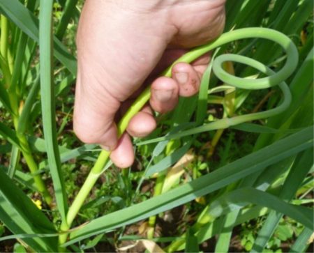 Изтрийте стрелките