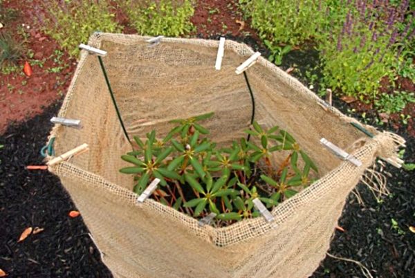 onderdak voor de winter