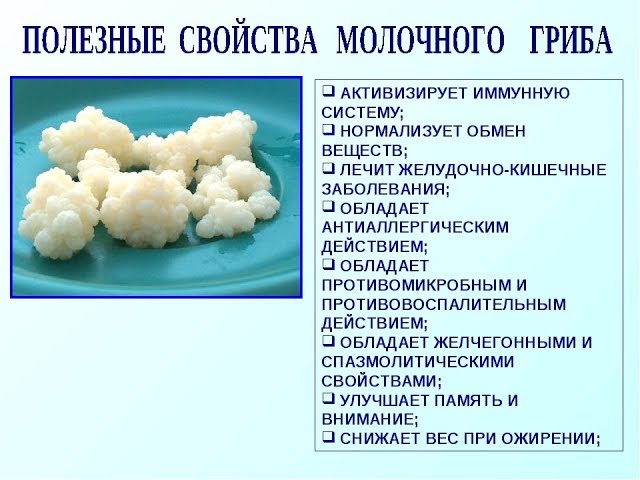 Useful properties of the mushroom