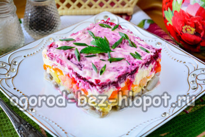 הרינג מתחת למעיל פרווה