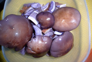 подготовка