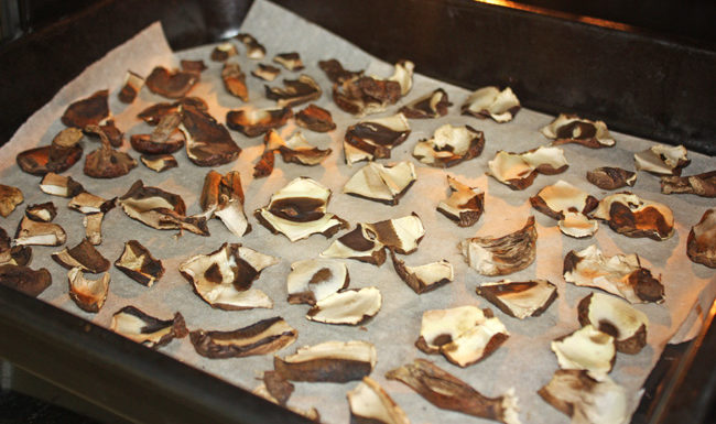 Сушене на гъби във фурната