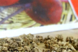 семена от цвекло