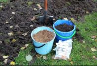 Торове за есента