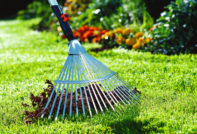 Грижа за тревата