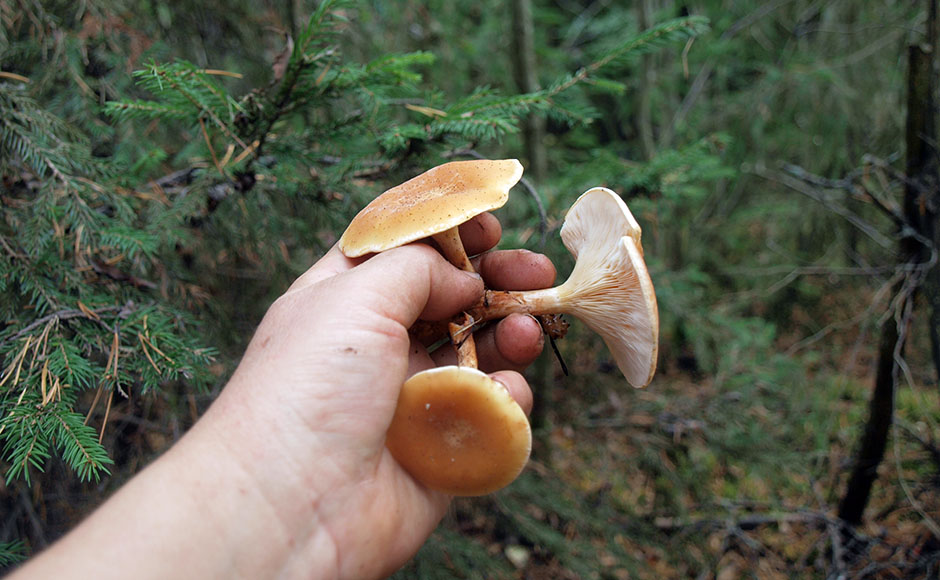 Người nói chuyện