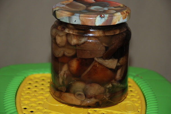 Gezouten champignons parasols