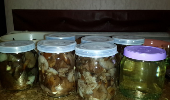 Мариновани гъби