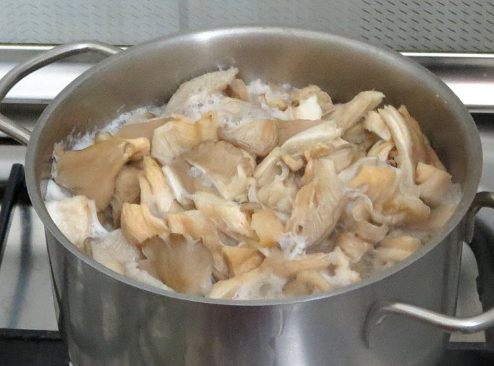 Gezouten oesterzwammen