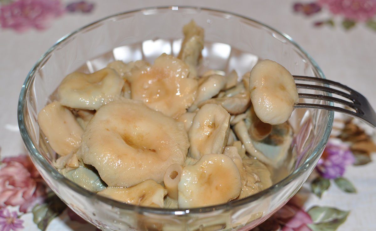 Мариновани бели