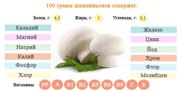 The chemical composition of champignons