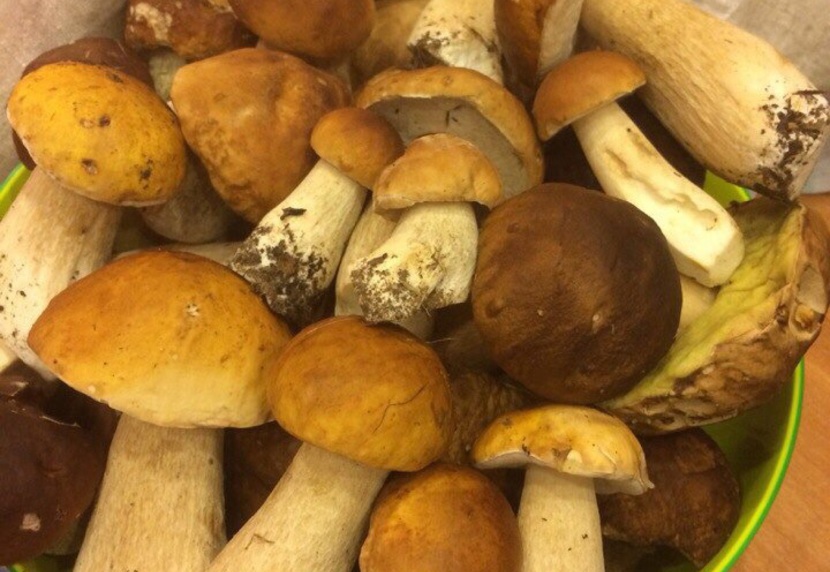 Ingemaakte Champignons