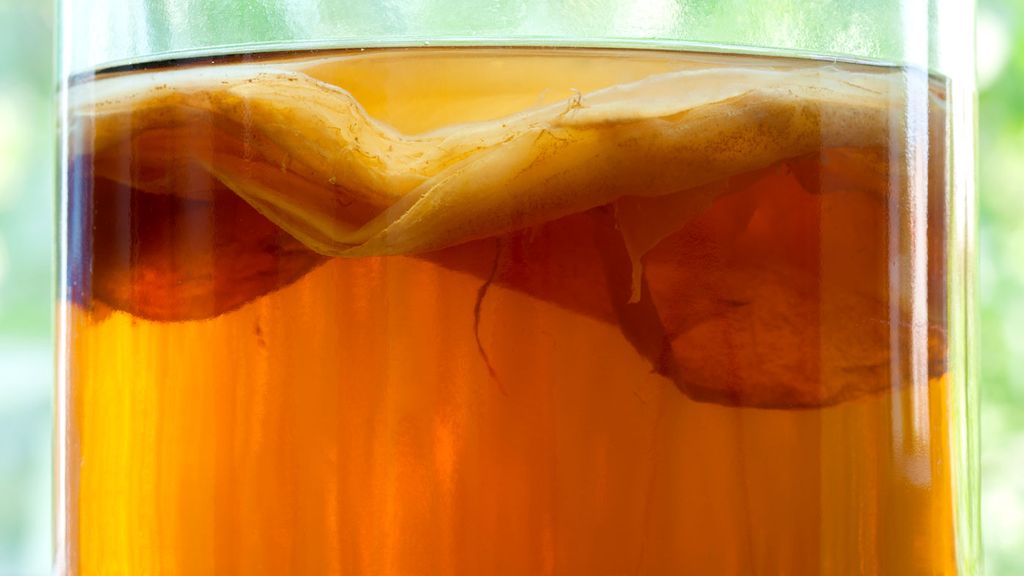 Kombucha