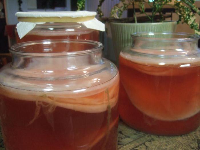 Kombucha