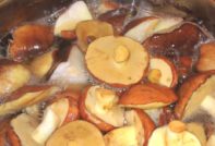 жълт манатарки