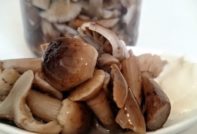 Pickled honey mushrooms