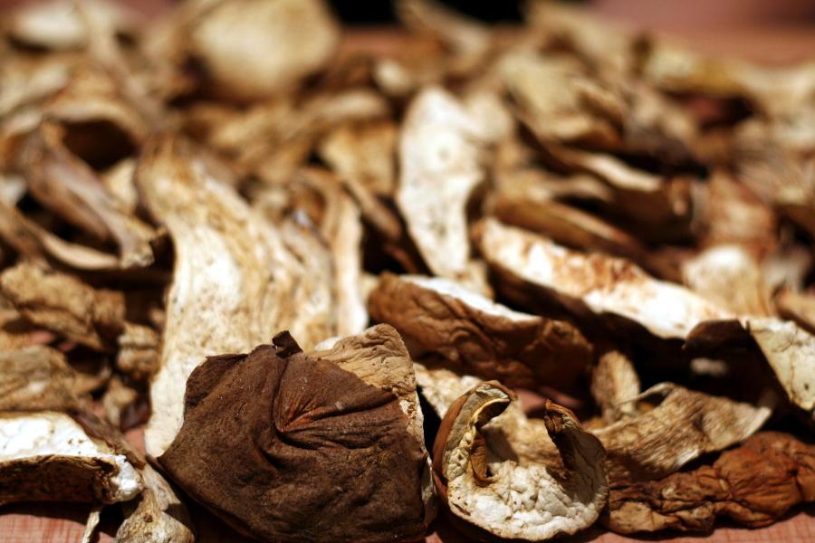 Сушени свински гъби