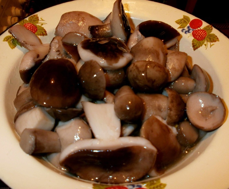 Солени гатанки