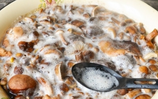 Медена пяна