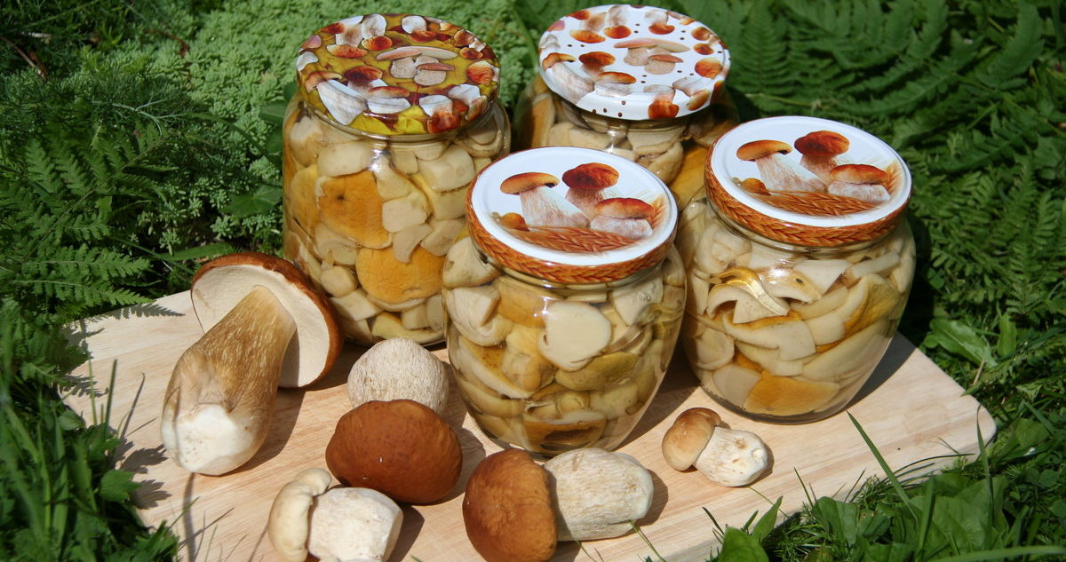 เห็ดพอร์ชินี